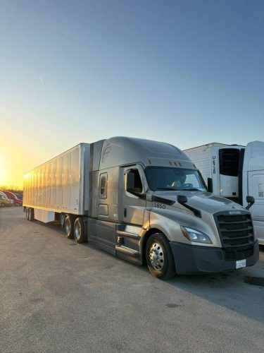 mdm international (4)